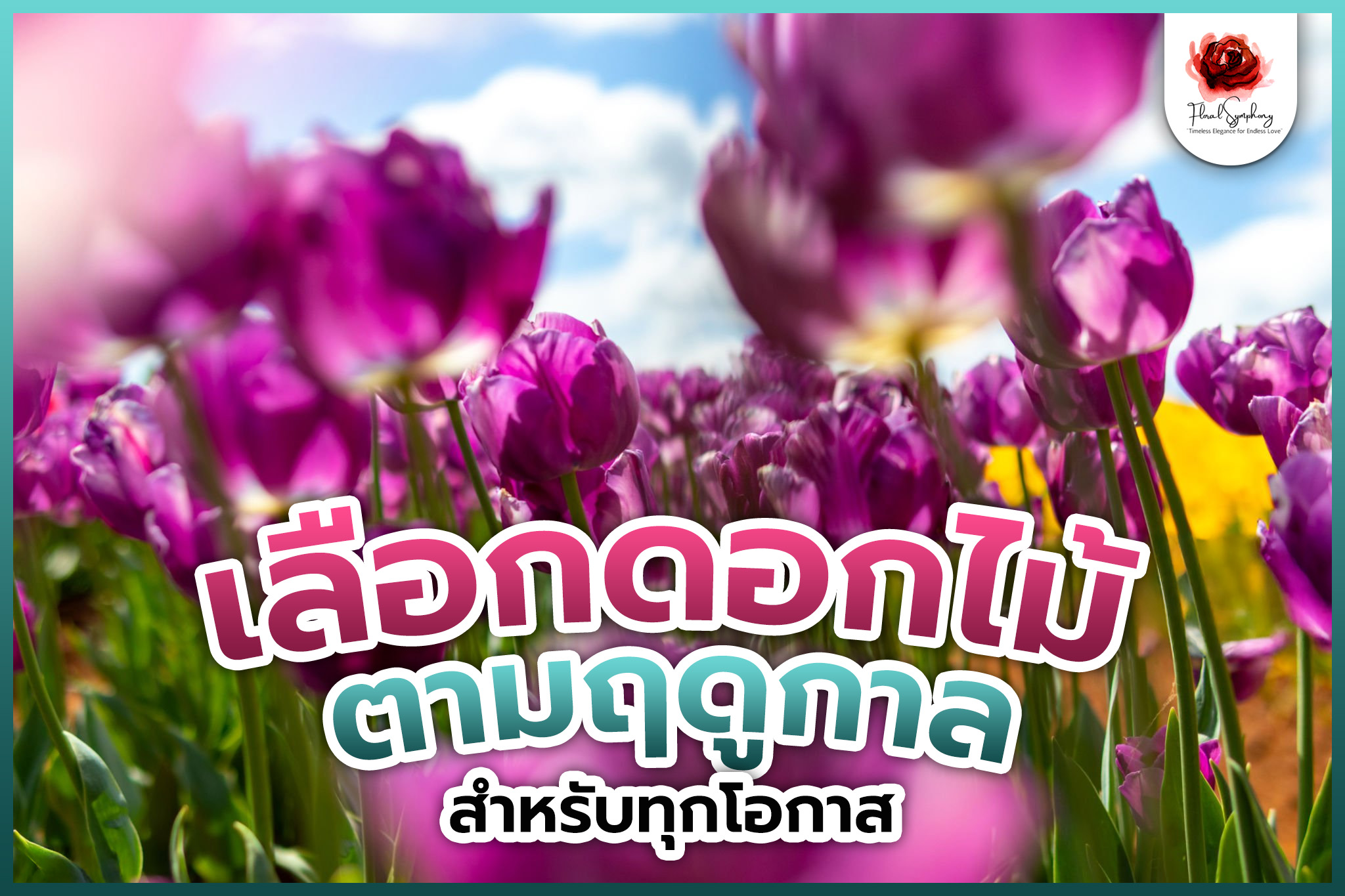 เคล็ดลับการเลือกดอกไม้ตามฤดูกาลสำหรับทุกโอกาส